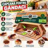 Set 20 Capcane Adezive pentru Gândaci tip Căsuță, cu Atractant