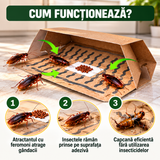 Set 20 Capcane Adezive pentru Gândaci tip Căsuță, cu Atractant