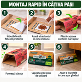 Set 20 Capcane Adezive pentru Gândaci tip Căsuță, cu Atractant