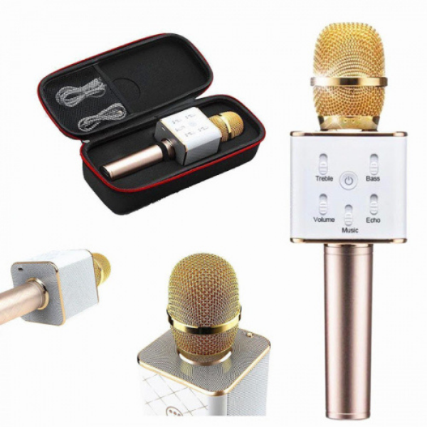 Microfon Karaoke Wireless Cu Boxa Incorporată WS-858