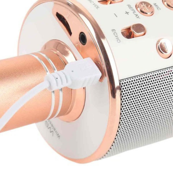 Microfon Karaoke Wireless Cu Boxa Incorporată WS-858